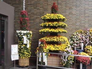 DSCN9300